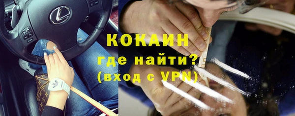 стафф Вяземский