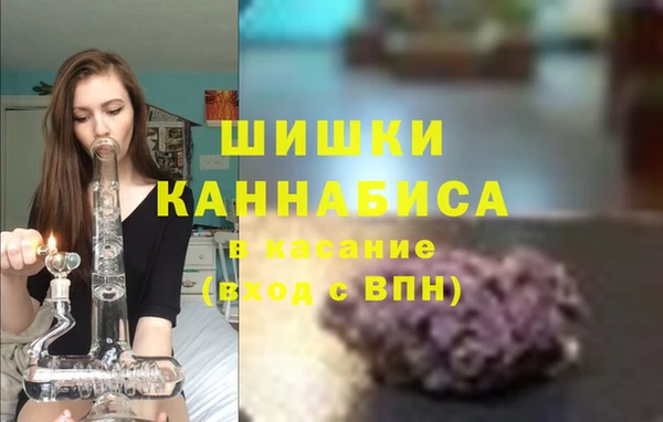 стафф Вяземский