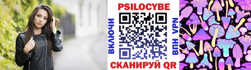 Псилоцибиновые грибы MAGIC MUSHROOMS  hydra рабочий сайт  Камышлов  где продают наркотики 